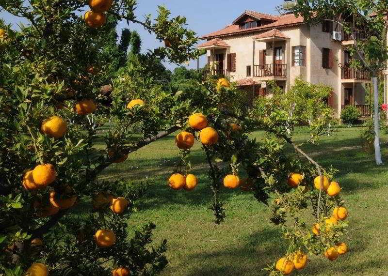 Yonca Lodge Fethiye Ngoại thất bức ảnh