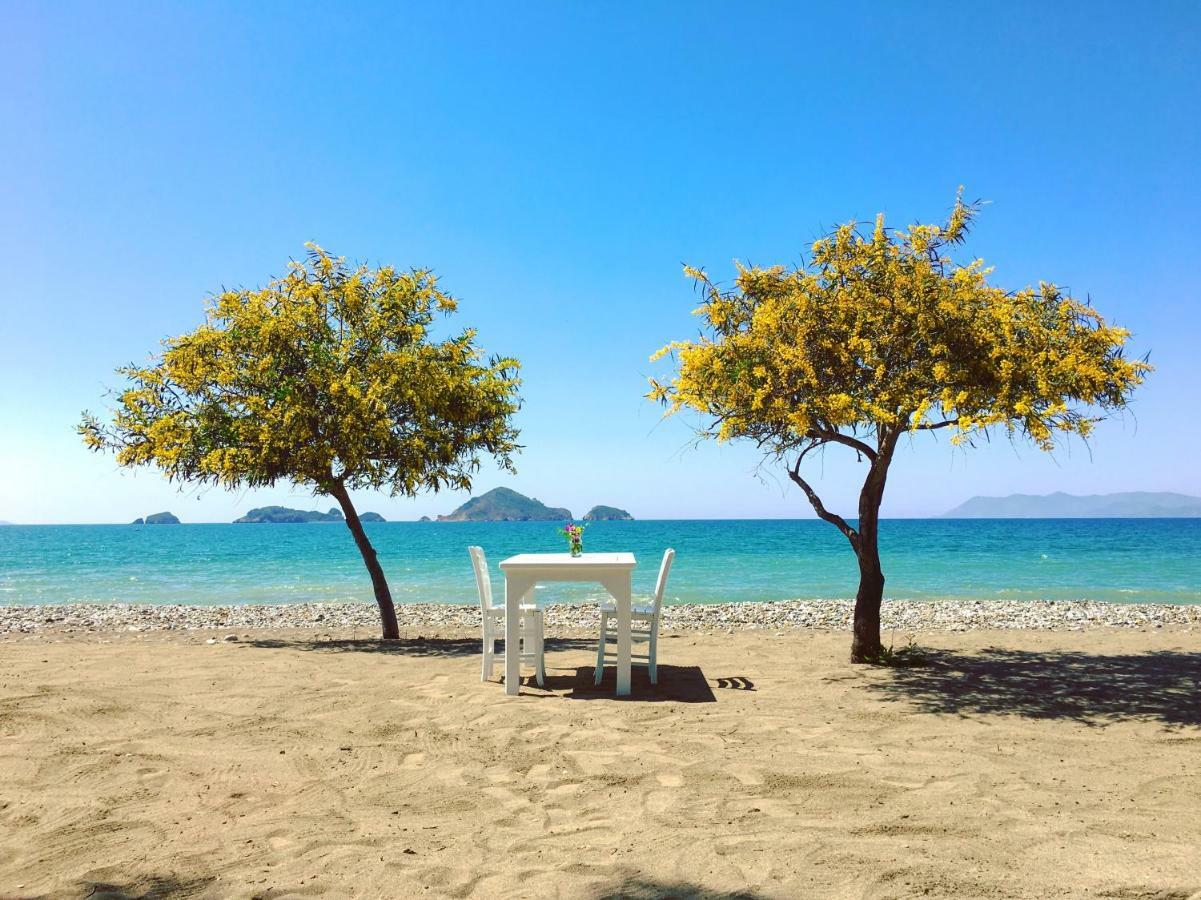 Yonca Lodge Fethiye Ngoại thất bức ảnh